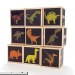 Uncle Goose Dinosaur Blocks Made in The USA  B07B43HVG9